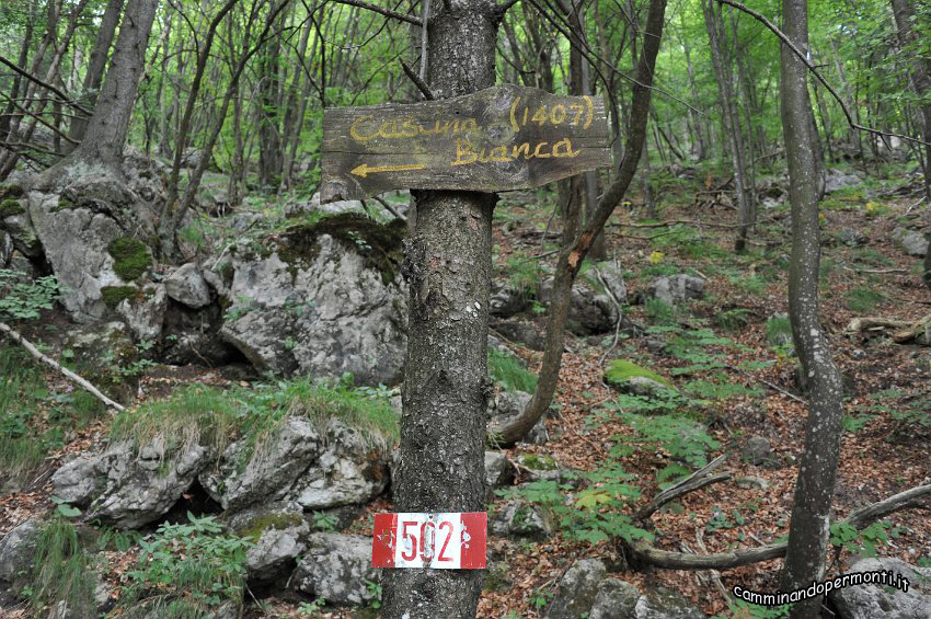 027 Periplo e vetta Monte Alben la Croce.JPG